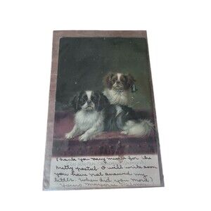 Vtg 1906 Japanese Chin Spaniels Dogs Postcard Paper Ben Franklin Stamp